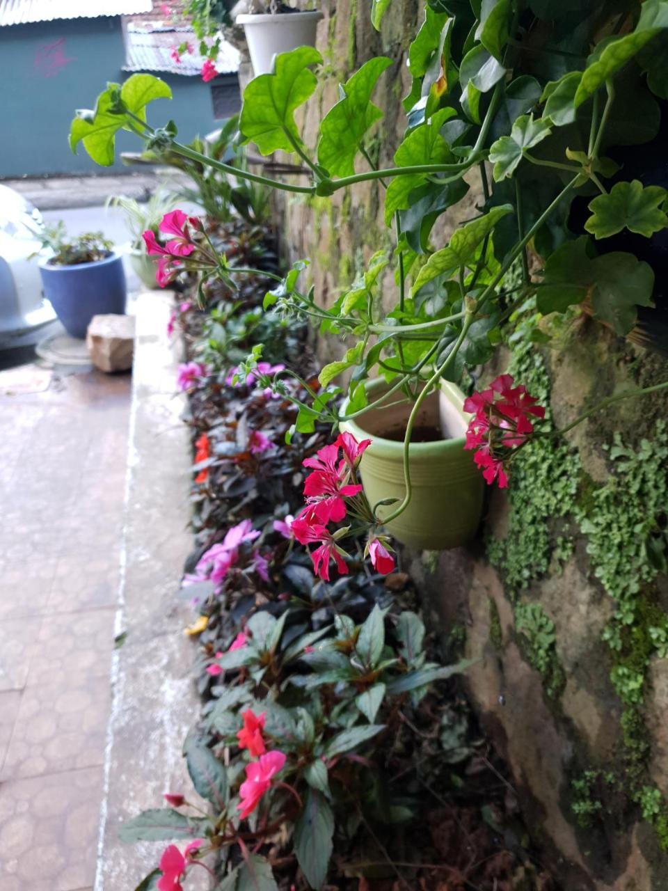 Hai Quyen Hotel Dalat Bagian luar foto
